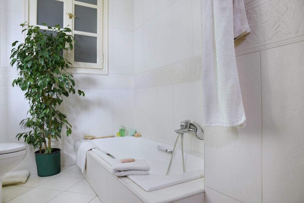 bathroom-master-7595f